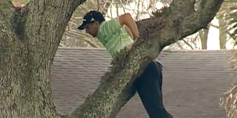 Sergio Garcia plays one-handed tree shot - ABC News