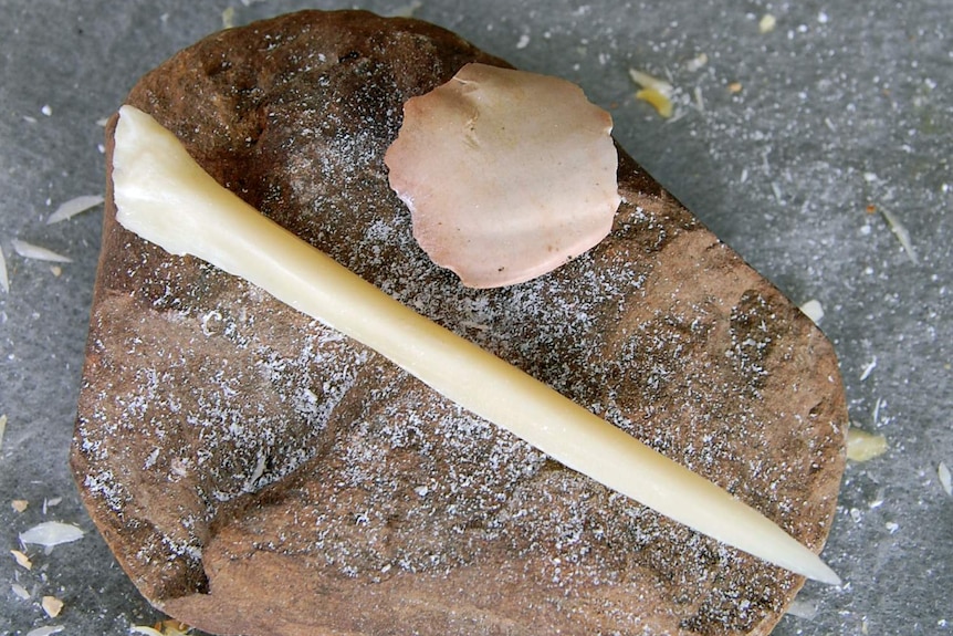 A small sharpened piece of bone and a pale pink rock fragment sit atop a larger brown rock.