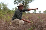 an aboriginal man wearing a cowboy hat lunges in bushland and points with a finger