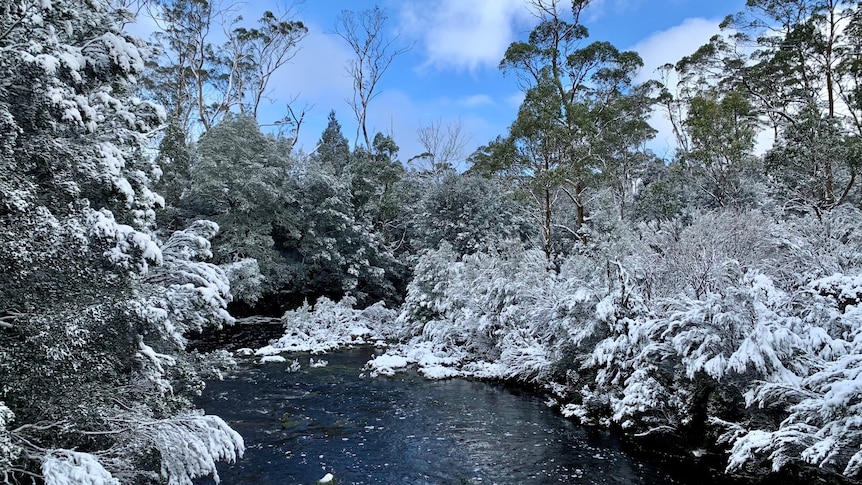 Snow falling on a river at Cradle Mountain on a sunny day.