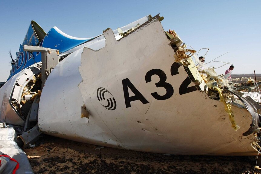 Russia's Emergency Ministry picture shows the wreckage of a A321 Russian airliner in Egypt on November 1, 2015.