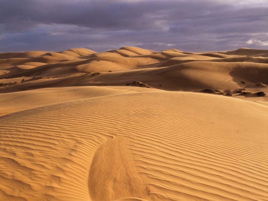 Sunlit sand dunes with dark skies in the background.