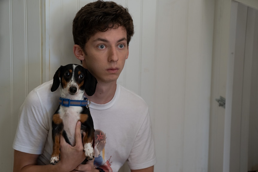 A teenage white boy with mousey brown hair is wearing a white T-shirt and sitting holding a small black, brown and white dog.