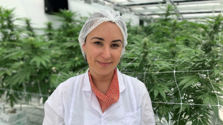Emily Rigby wears a white coat and hair net in a greenhouse with cannabis plants in the background.
