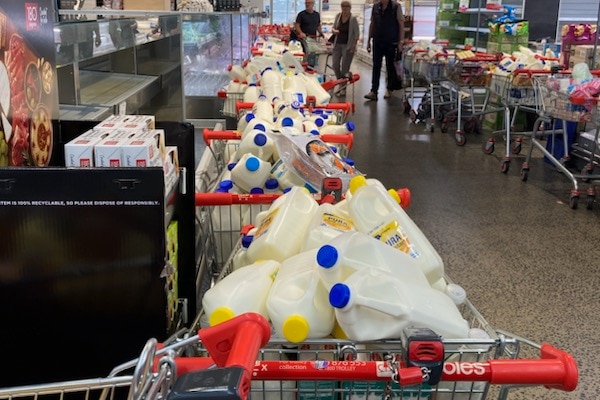 Row of supermarket trolleys with bottles of milk sit in a supermarket isle