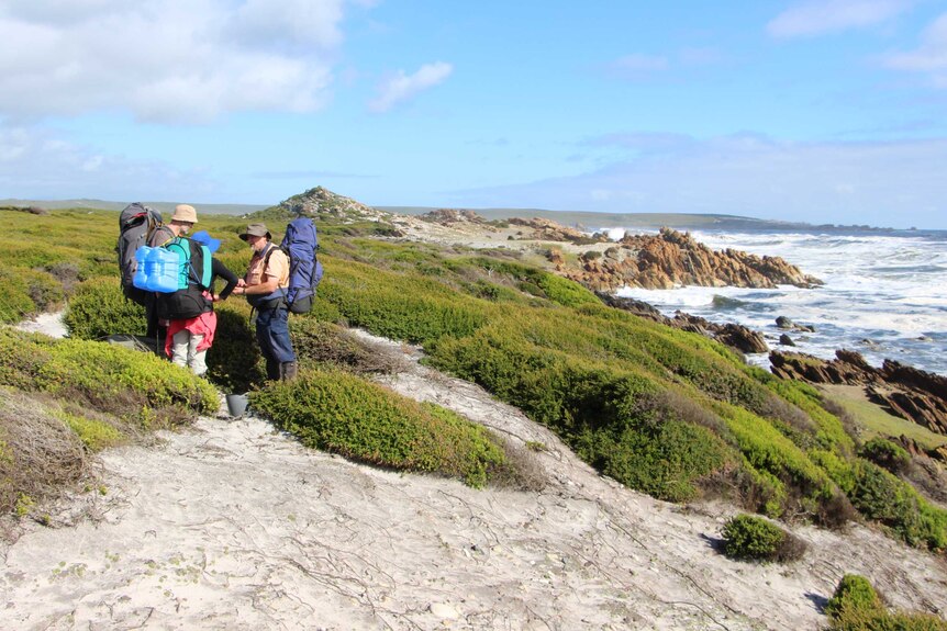 People with backpacks in coastal wilderness area.
