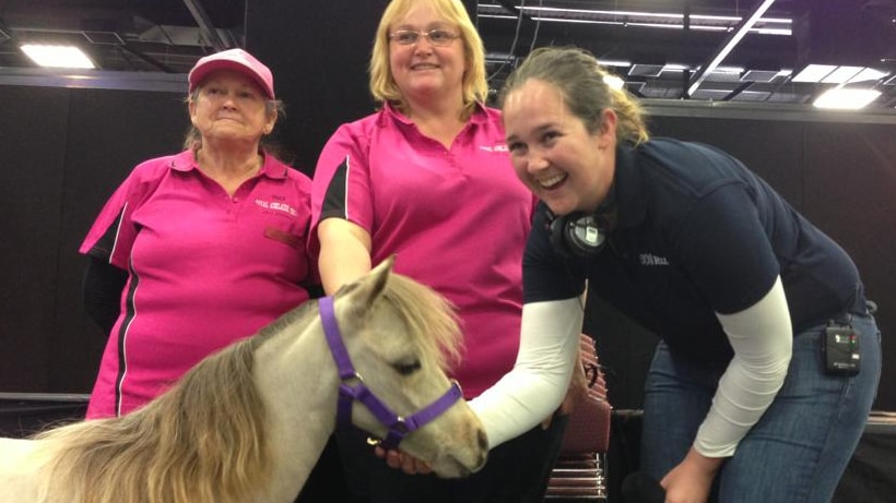 Reporter with headphones around neck patting tiny pony as two women watch on.