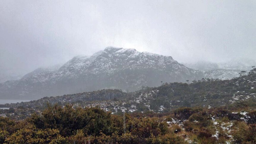 Snow in Cradle Mountain Lake St Clair National Park