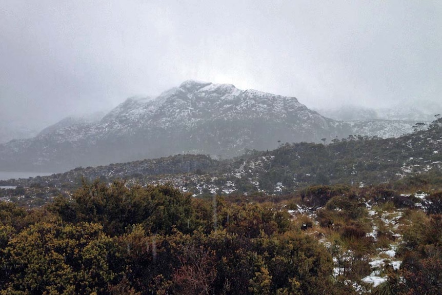 Snow in Cradle Mountain Lake St Clair National Park