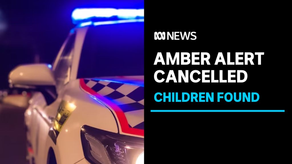 Man in police custody over children left in car - ABC News