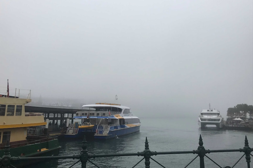 Fog blanketing Sydney Harbour
