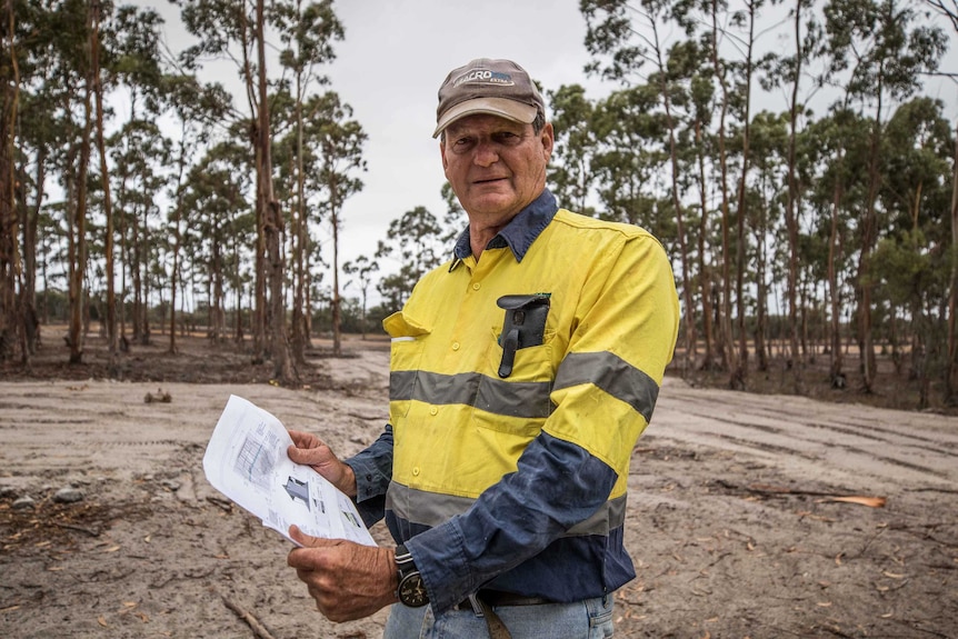 Farmer in a bluegum plantation where he wants to build a nature park