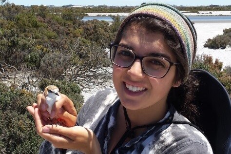 Scientist Kristal Kostoglou with red-capped plover, her other study species