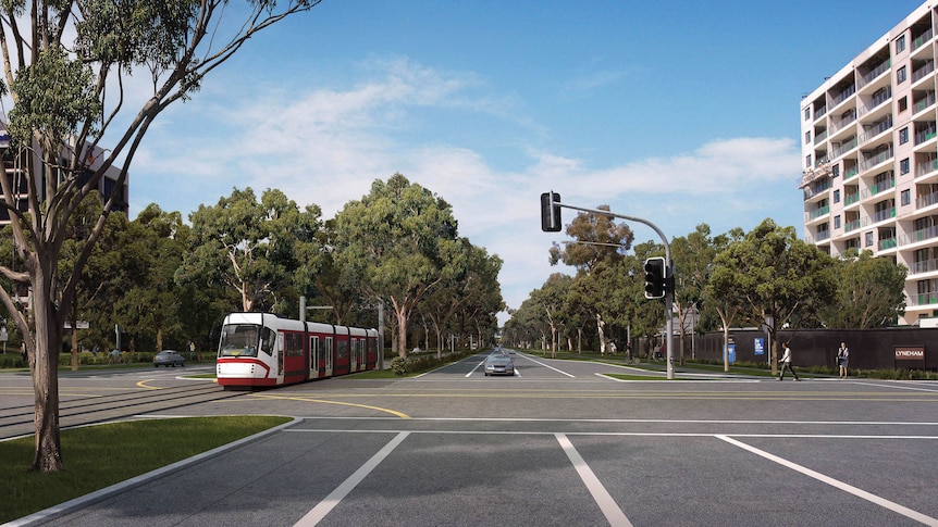 Artist's impression of a light rail along Northbourne Avenue in Canberra.