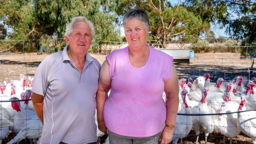 A man and a women smile at the camera standing in front of a paddock of turkeys. 