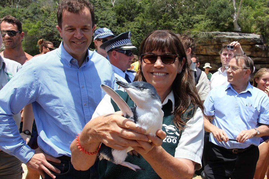 Taronga Wildlife Hospital Manager Libby Hall holds a little penguin on the beach surrounded by onlookers