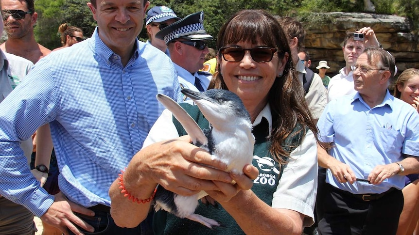 Taronga Wildlife Hospital Manager Libby Hall holds a little penguin