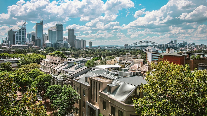 Aerial view of rooftops and Sydney CBD.