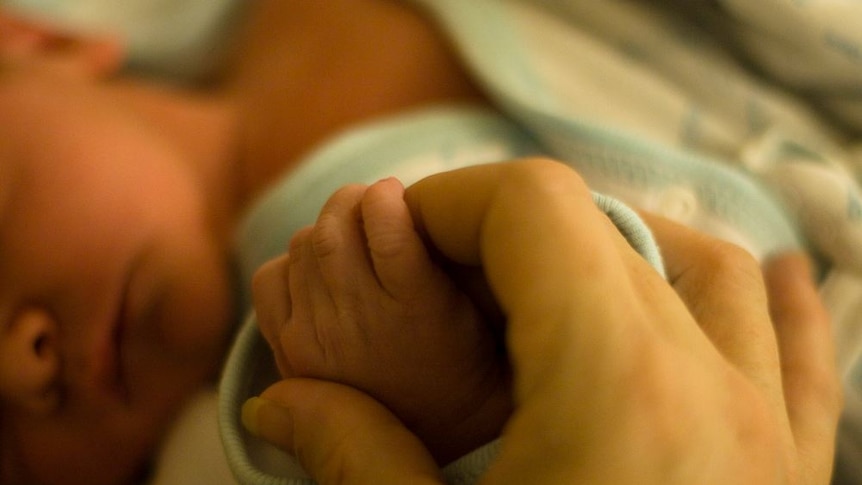 A mother holds a newborn baby's hand.