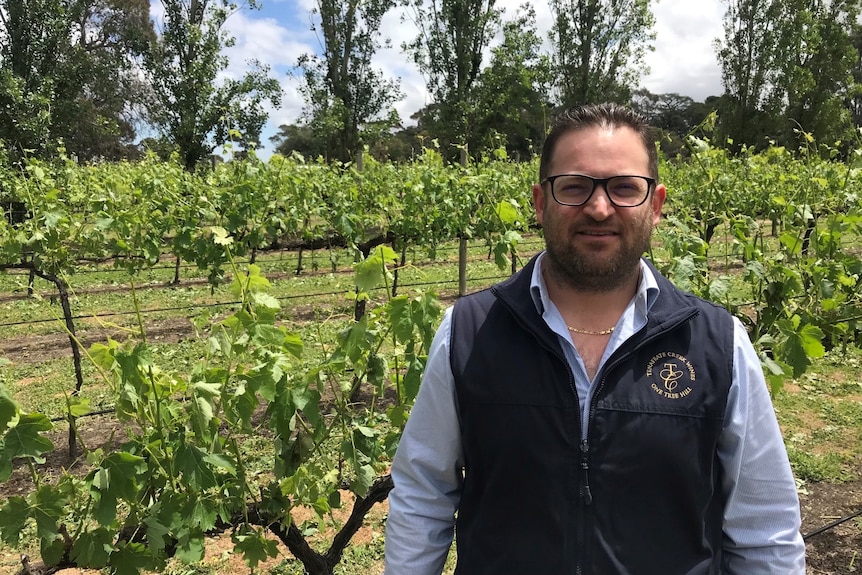 A man in a navy vest, light blue shirt and glasses stands in front of a vineyard