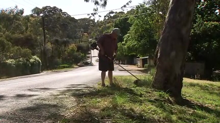 A man using a whipper snipper next to a tree on the side of a road