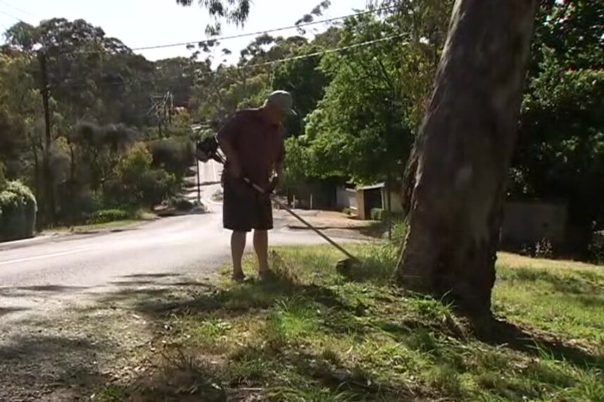 A man using a whipper snipper next to a tree on the side of a road