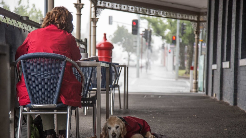 A dog and its owner take shelter from the rain in Ballarat.