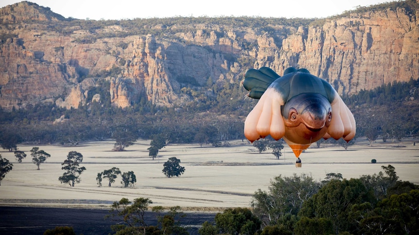 A $170,000 hot air balloon by Patricia Piccinini called the Skywhale has been unveiled to mark Canberra's centenary.