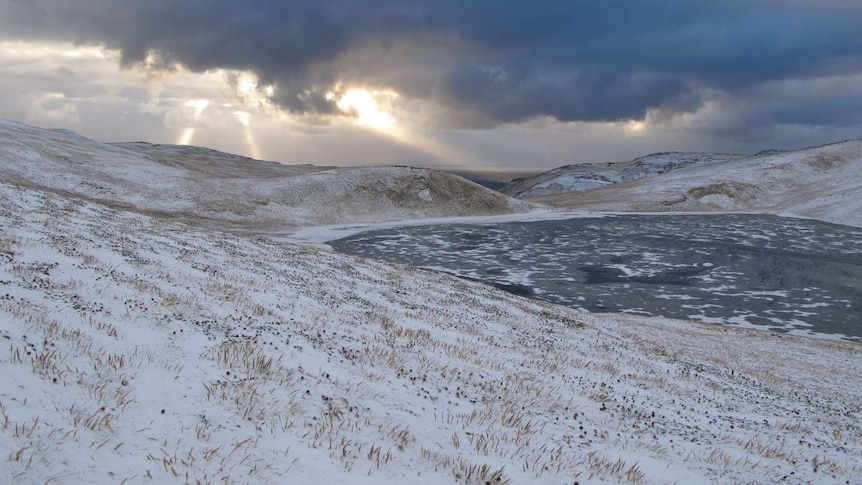 Sunshine at Macquarie Island