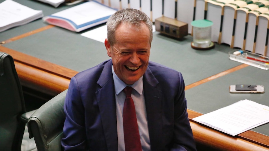 Opposition Leader Bill Shorten bares his teeth while laughing in the House of Representatives