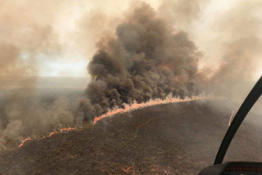 Aerial photo of forest and long firefront