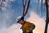 A firefighter attempts to hose down the blaze