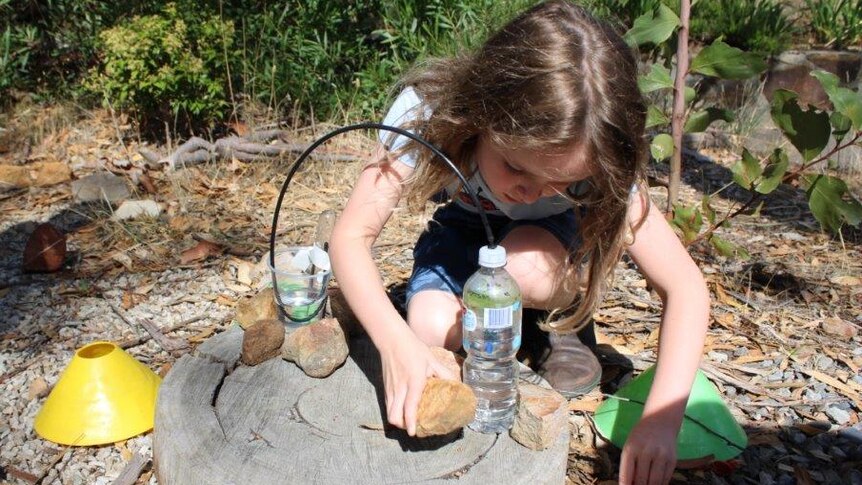 A girl conducts an experiment using water bottles outside.
