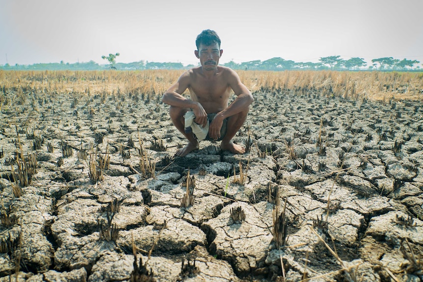 Rice farmer Ampir squats in a dry rice paddy