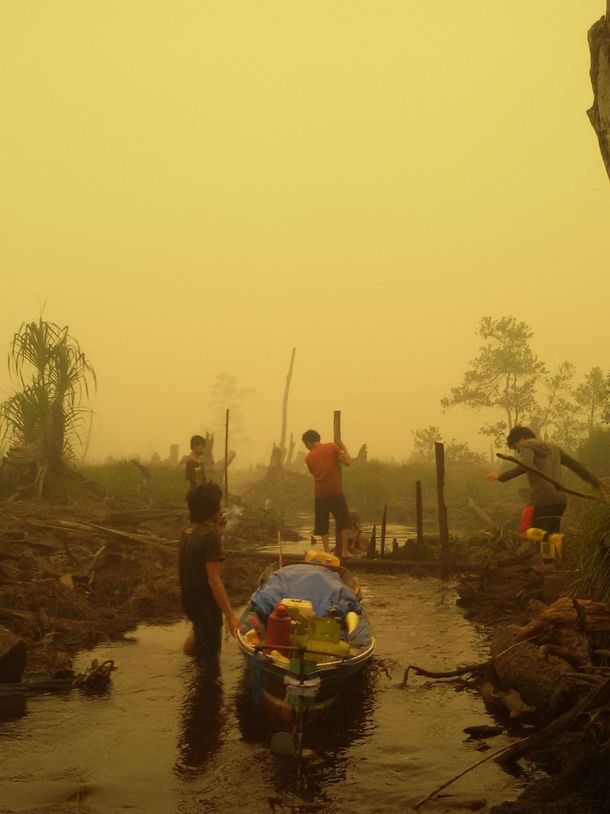 An "apocalyptic" image of a Indonesia's haze