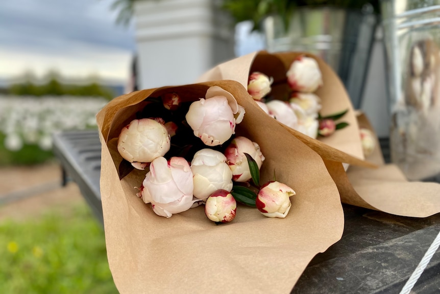 A photo of peonies