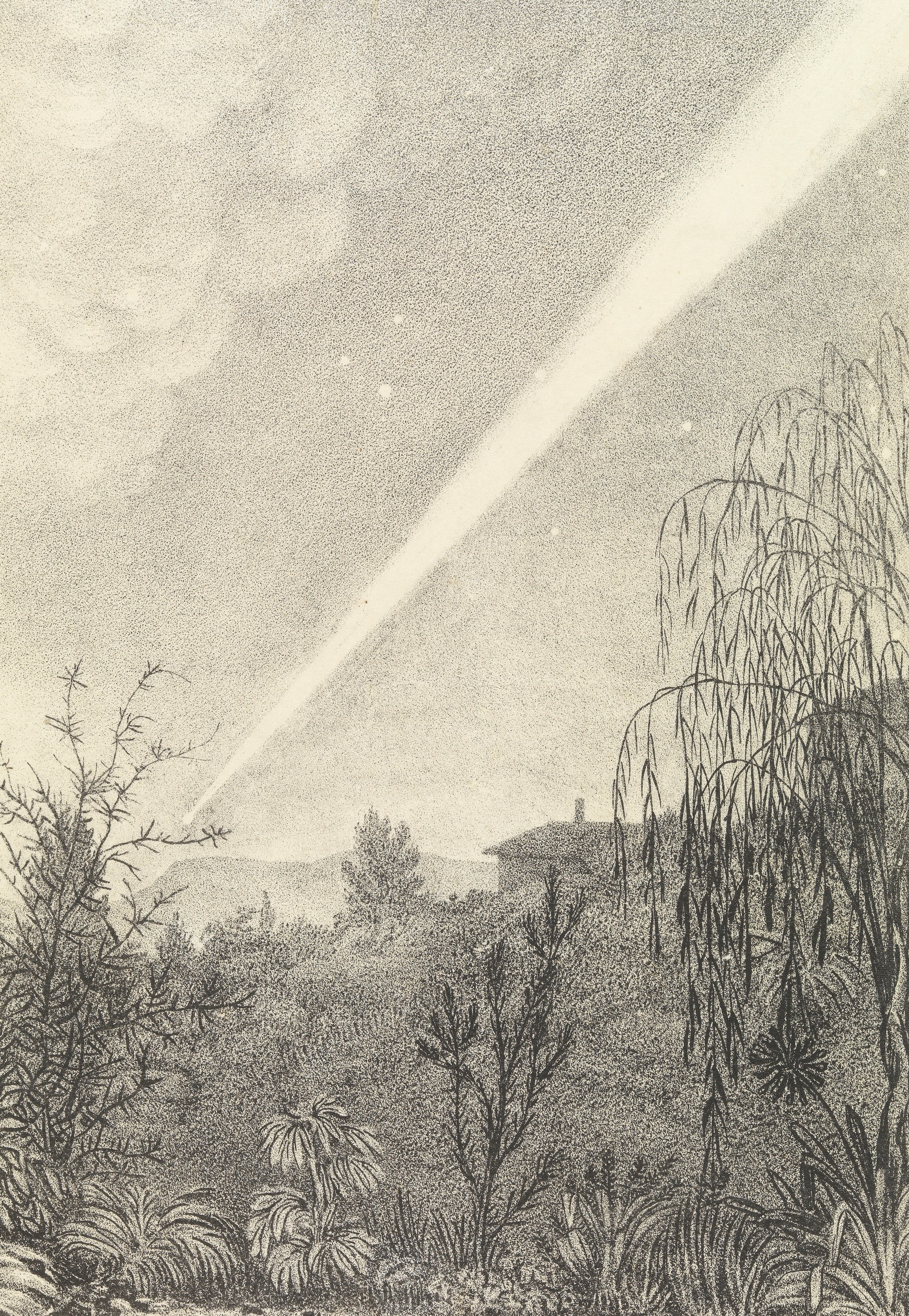 Sepia toned drawing of leafy bushland and cottages with a comet scoring straight across the sky.