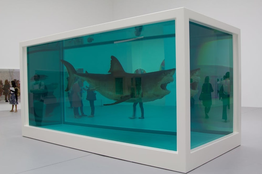 One of Damien Hirst's shark artworks in 2013 in Doha.