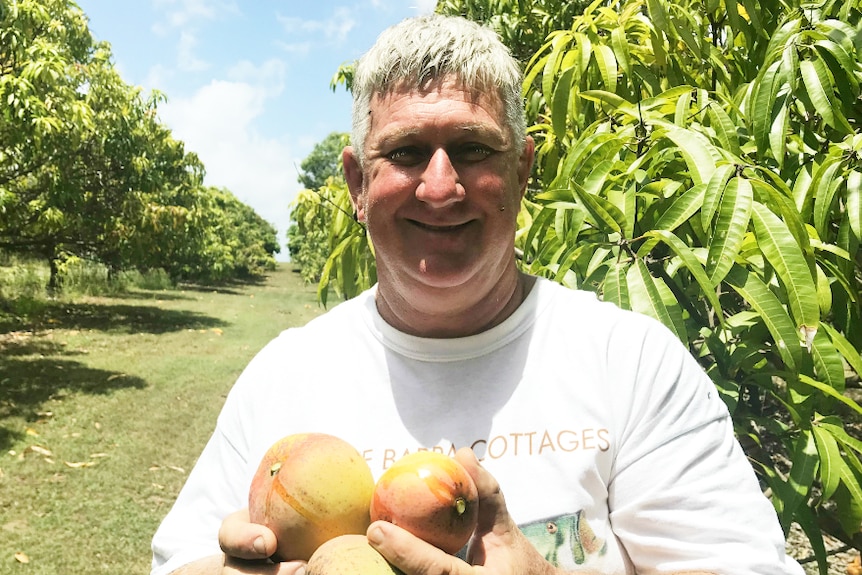 Brian Burton smiles as he holds up mangoes in his orchard.
