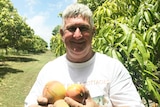 Brian Burton smiles as he holds up mangoes in his orchard.
