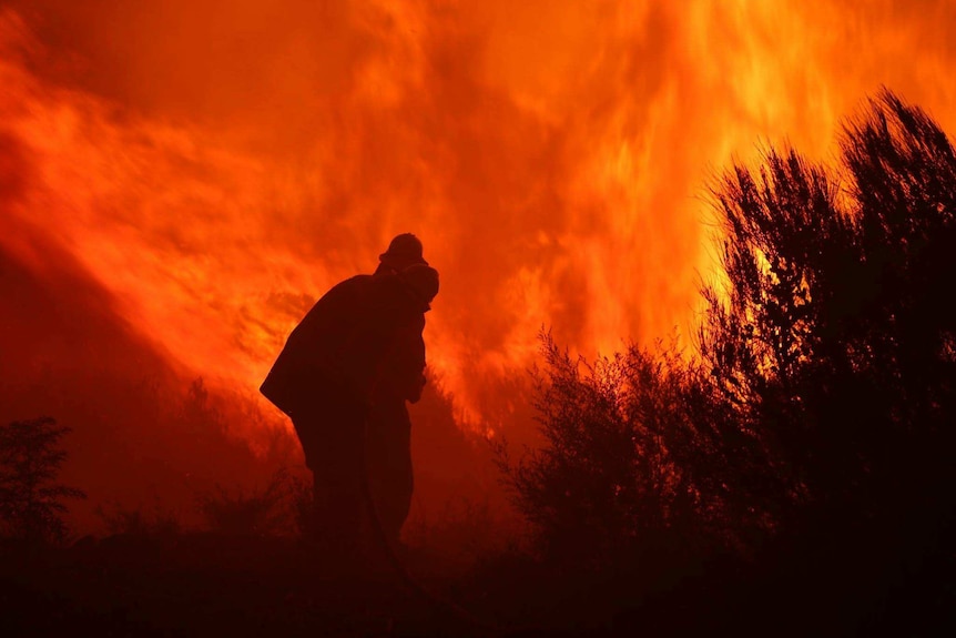 Wentworth Falls bushfire