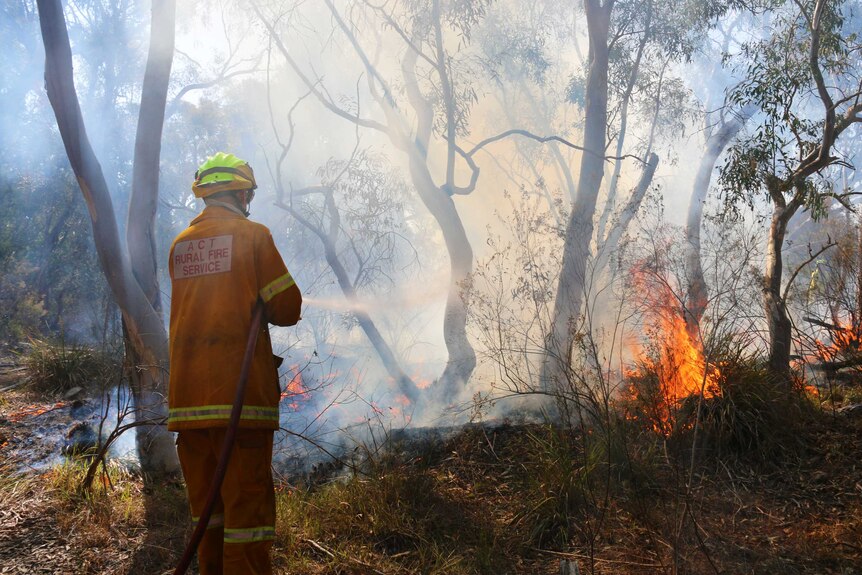 A firefighter hoses down a fire in bushland.