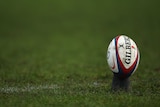 Generic of rugby union ball