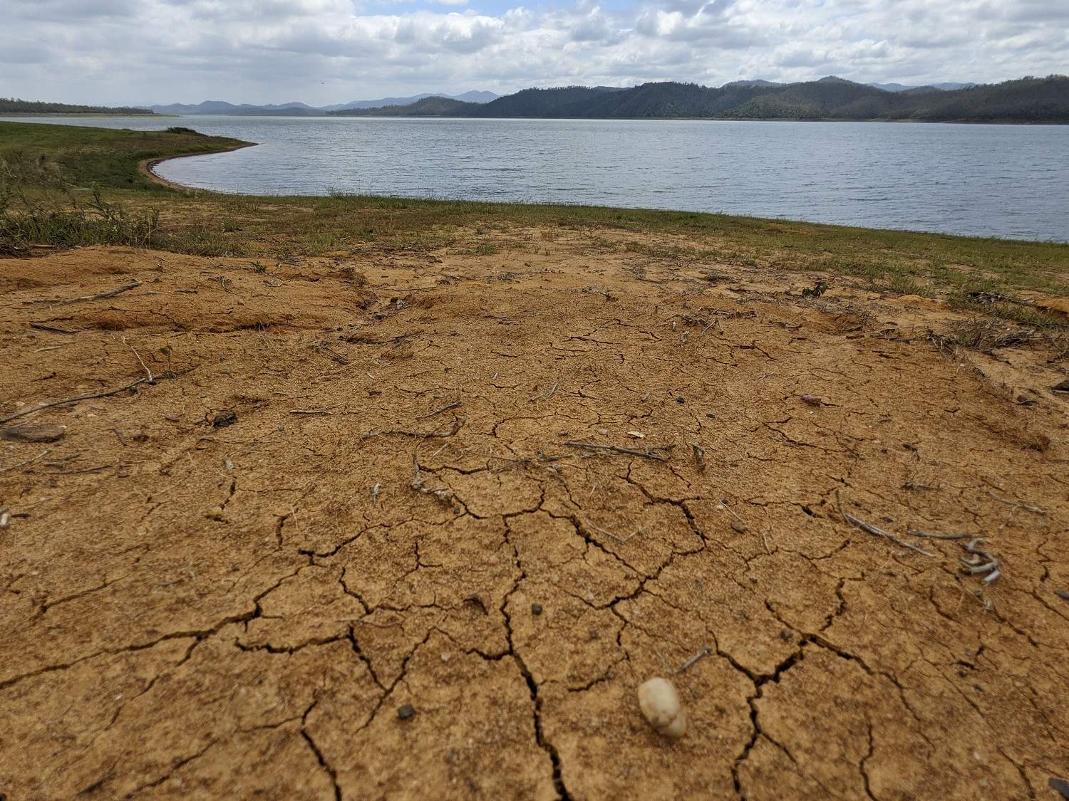 Queensland flooding eases with seven days of sunny skies forecast, river levels falling - ABC News