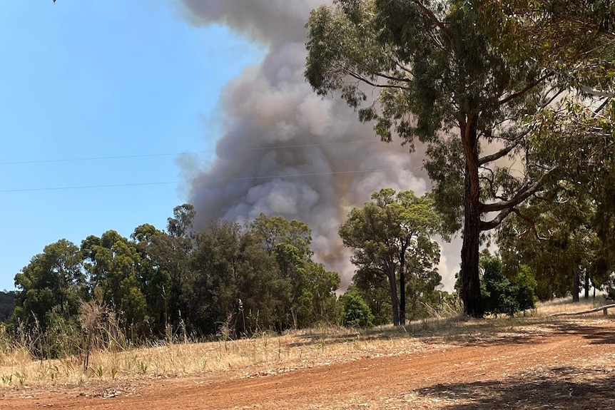 A dry paddock with trees and white smoke in the background.