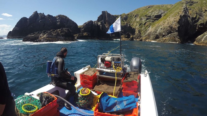 Photograph of a diver sitting on a boat with a hookah dive machine, surrounded by water with green cliffs behind