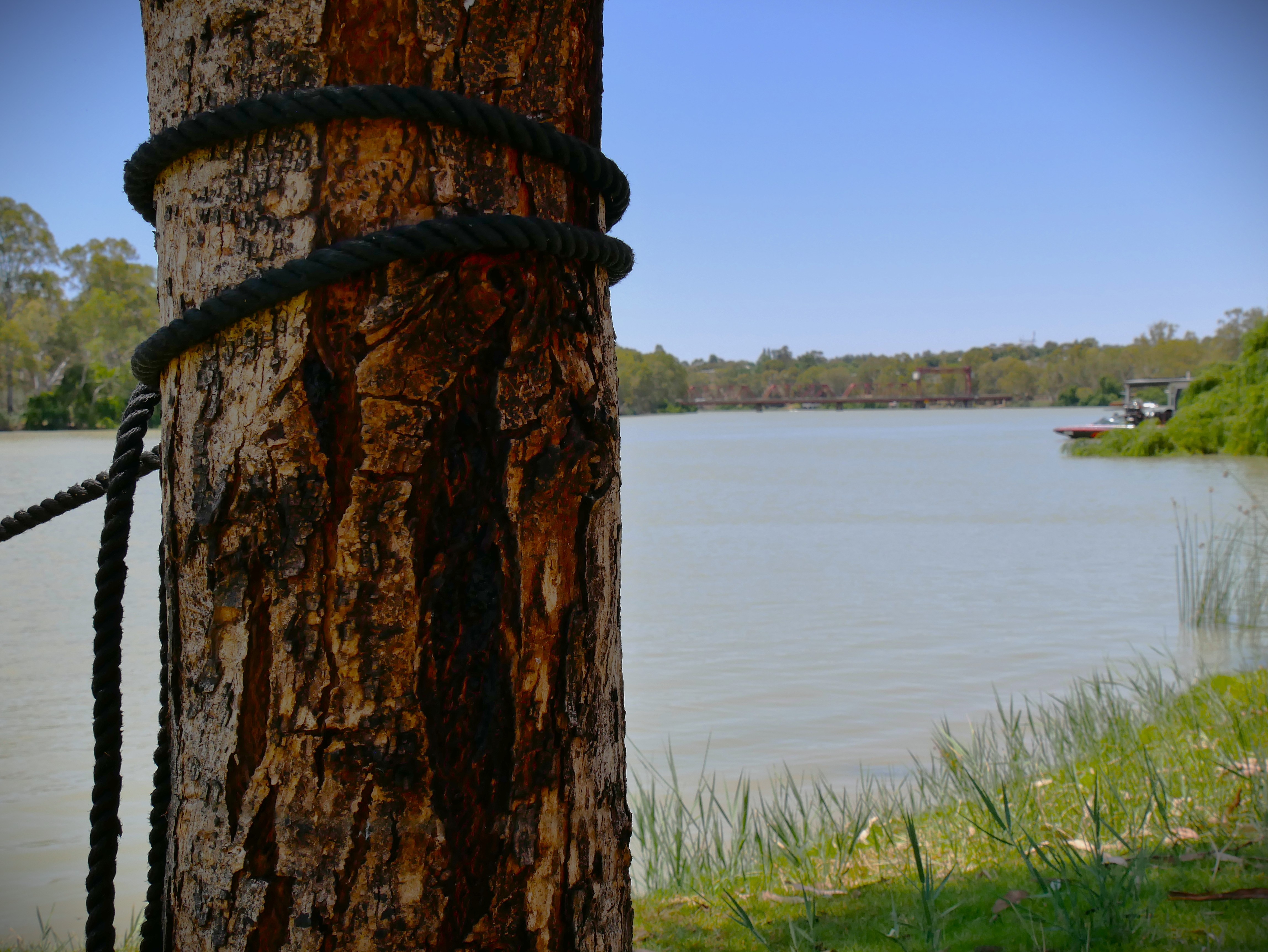 um poste de madeira com uma corda preta em volta e uma ponte vermelha ao fundo