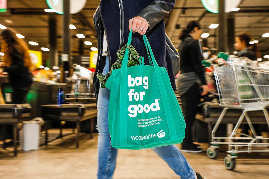 a person carrying a reusable bag