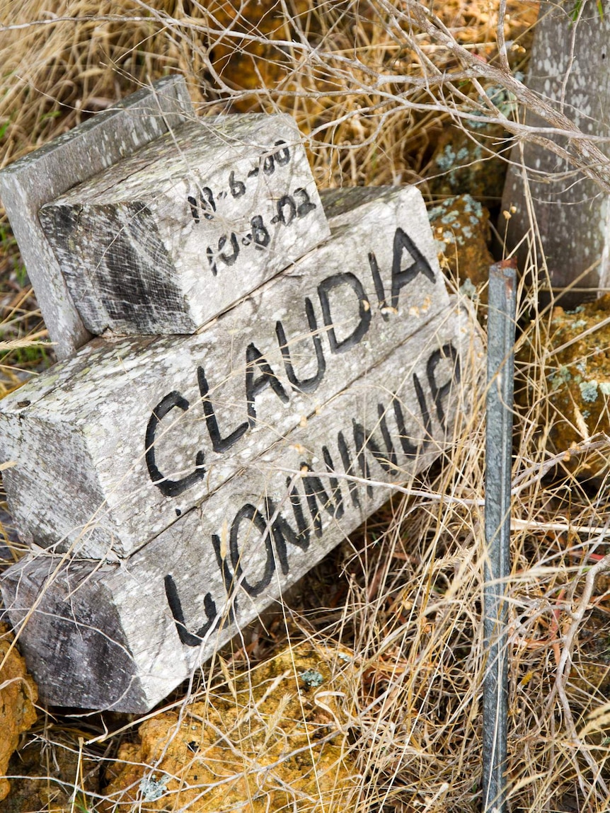 alpaca gravestone