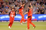 Brad Hogg of the Renegades celebrates taking the wicket of David Hussey of the Stars.